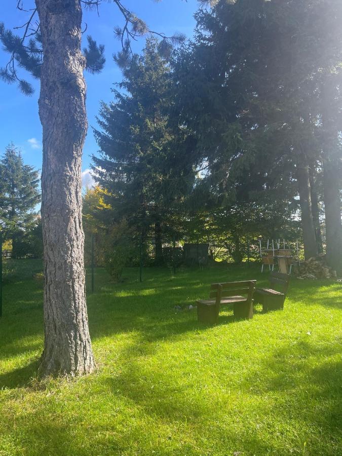 Apartman Studnice Na Vysocine Nove Mesto na Morave Εξωτερικό φωτογραφία